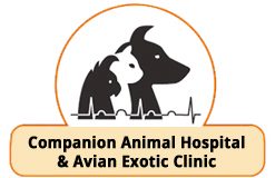 Companion Animal Hospital